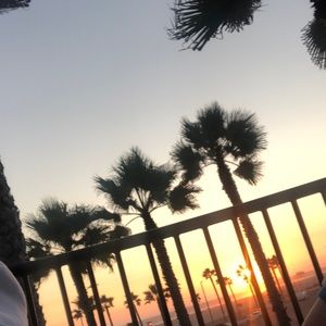 Meet your Posher, Morgan